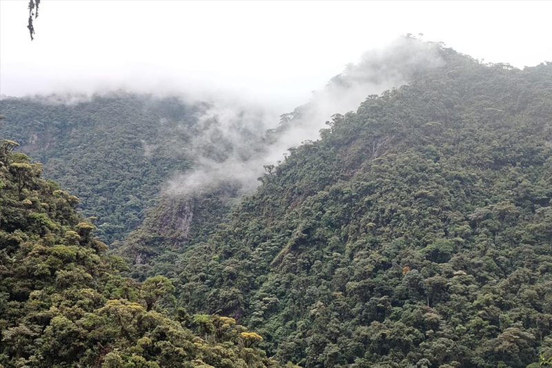 Centro de Conservación de Anfibios