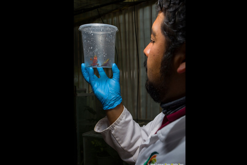 Centro de Conservación de Anfibios