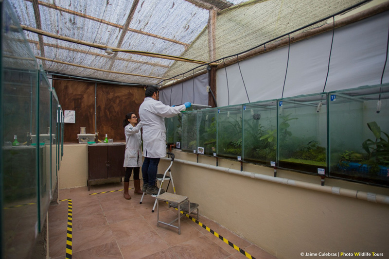 Centro de Conservación de Anfibios