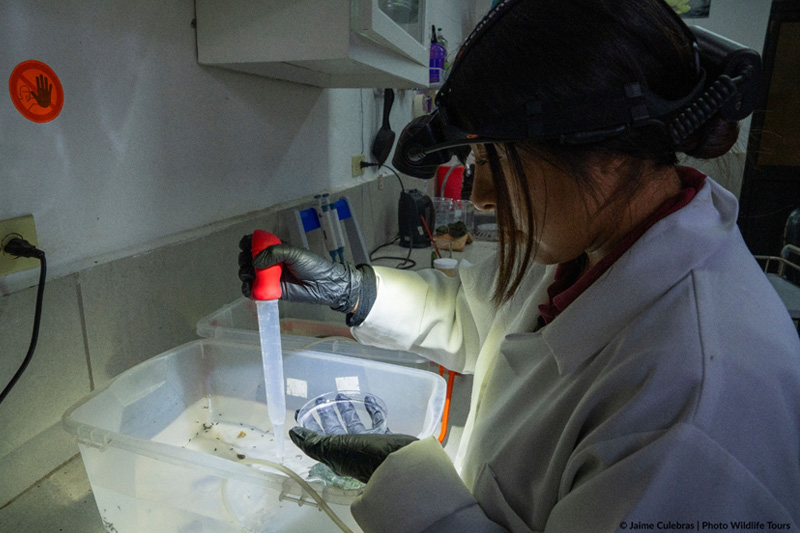 Centro de Conservación de Anfibios