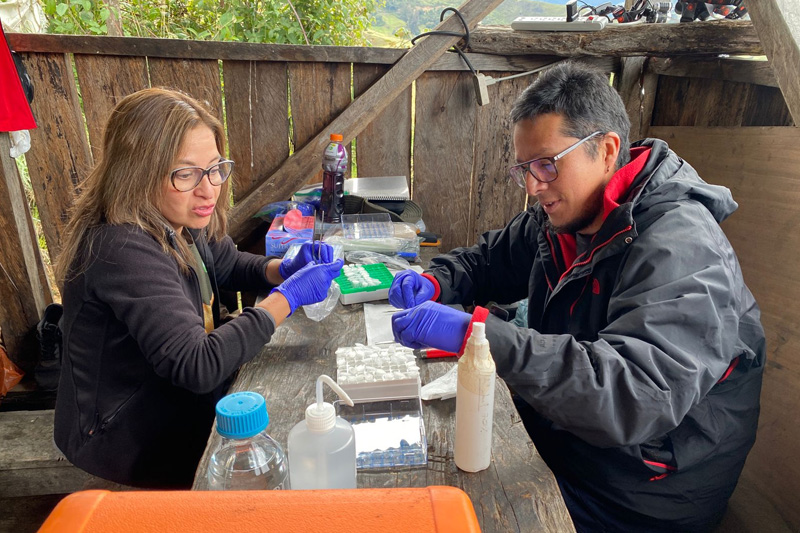 Estrategias de conservación de anfibios en el Corredor Sangay Podocarpus