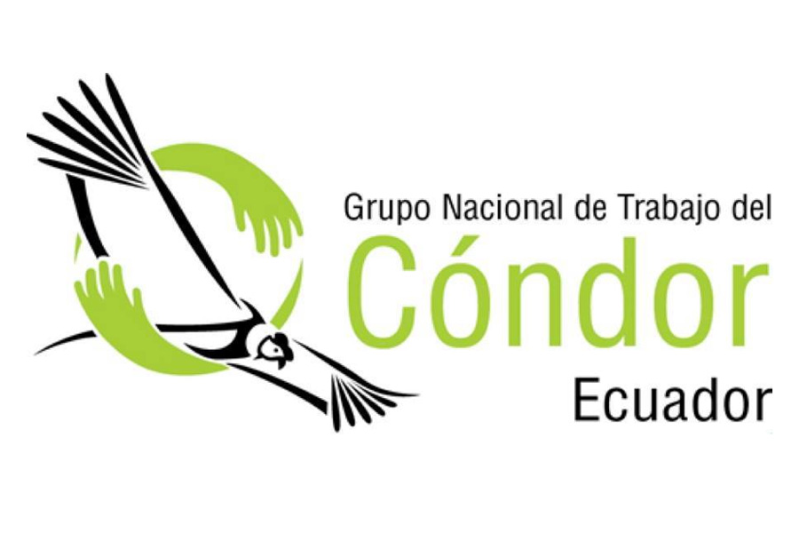 Programa de manejo y crianza de cóndores andinos bajo cuidado profesional