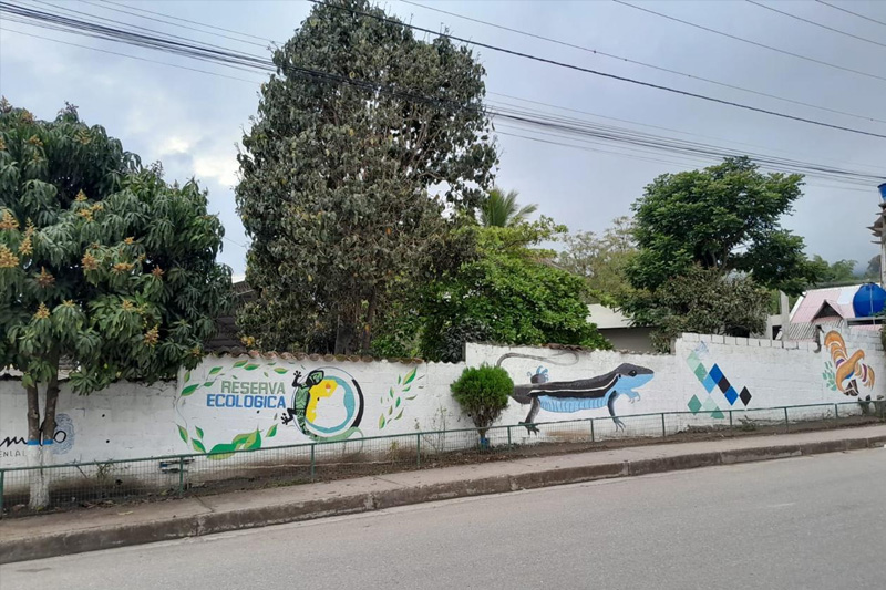 Guardianes de la Coliazul