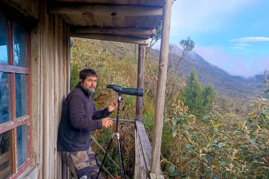 Oso Andino Proyectos de Conservación