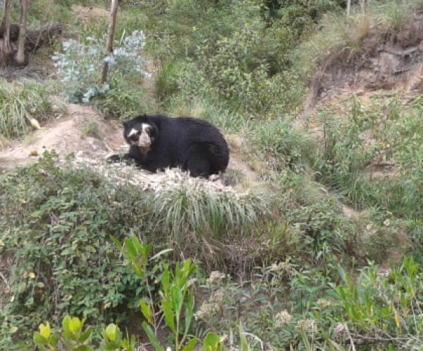 El Rol de los Zoologicos en el país