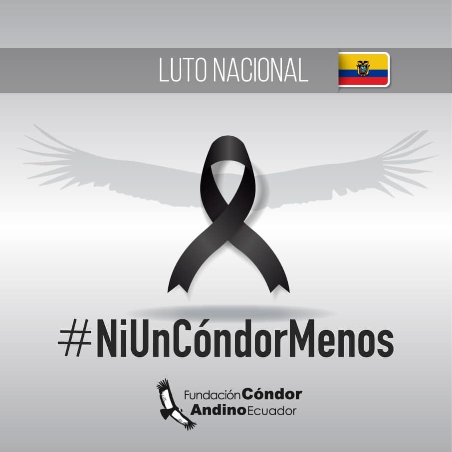 NI UN CÓNDOR MENOS!!