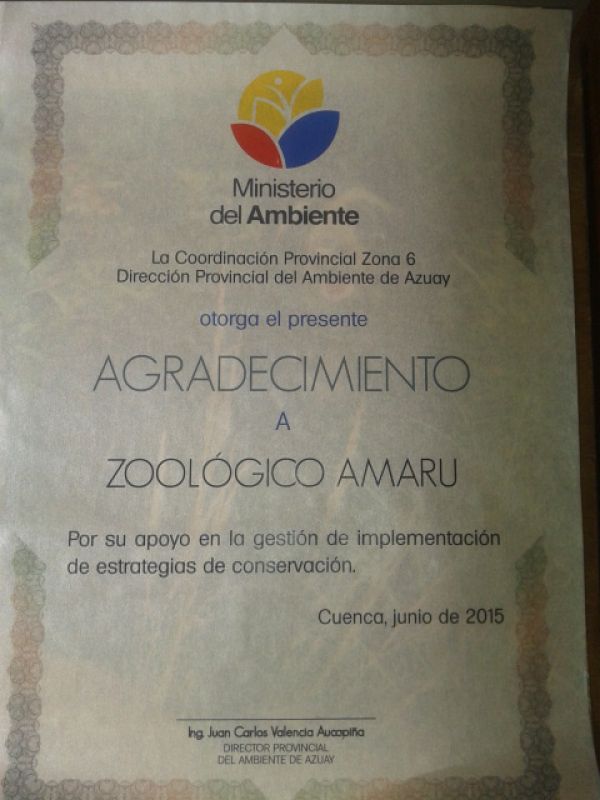 RECONOCIMIENTO POR DIA MUNDIAL DEL AMBIENTE
