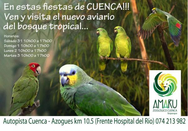 NUEVO AVIARIO TROPICAL DE INMERSIÓN INAUGURADO