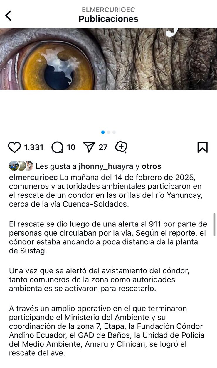 La mañana del 14 de febrero de 2025, comuneros y autoridades ambientales participaron en el rescate de un cóndor en las orillas del río Yanuncay, cerca de la vía Cuenca-Soldados. 